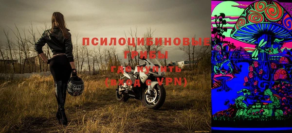 соль ск Абаза