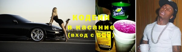 соль ск Абаза