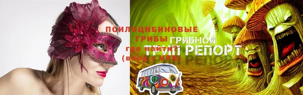 соль ск Абаза
