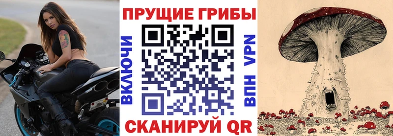 наркошоп  Вичуга  Галлюциногенные грибы прущие грибы 